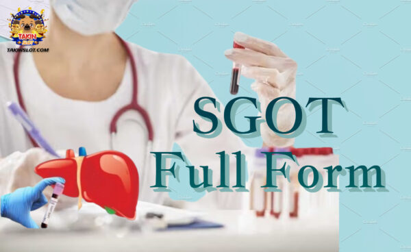SGOT Full Form: What is SGOT?