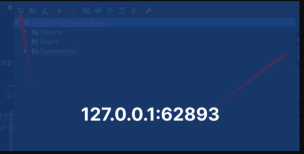 127.0.0.1:62893